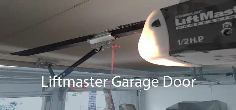 Liftmaster Garage Door
